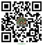 cod_qr_ceramelis_webdesdign-pro.ro