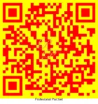 cod_qr_profesionalparchet_webdesdign-pro.ro
